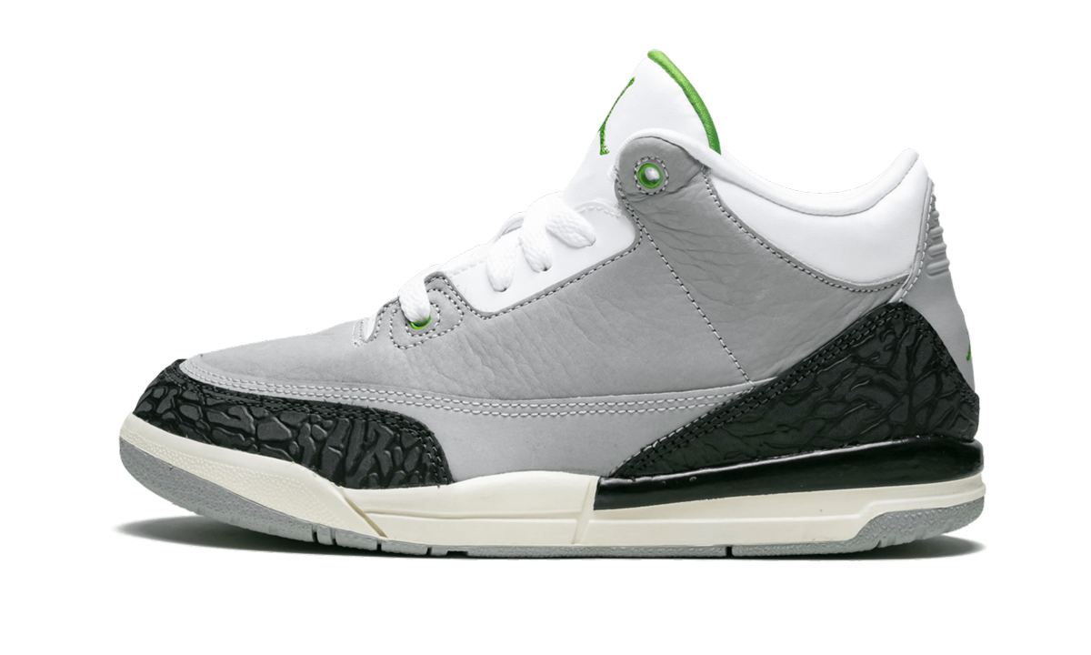 Jordan 3 Retro PS "Grey"