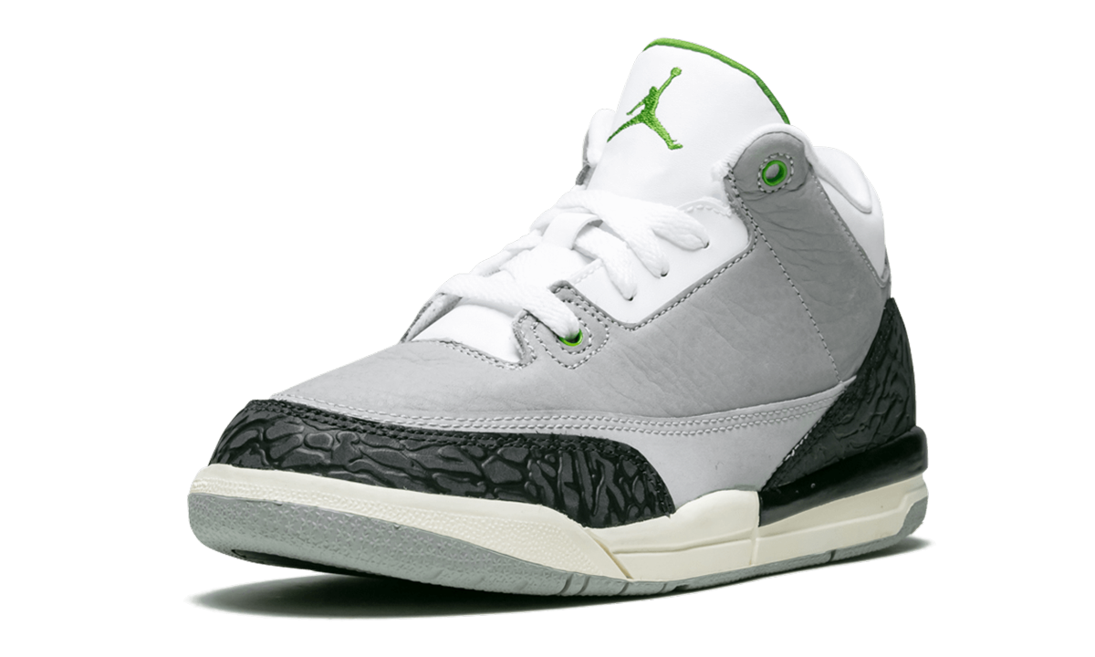 Jordan 3 Retro PS "Grey"