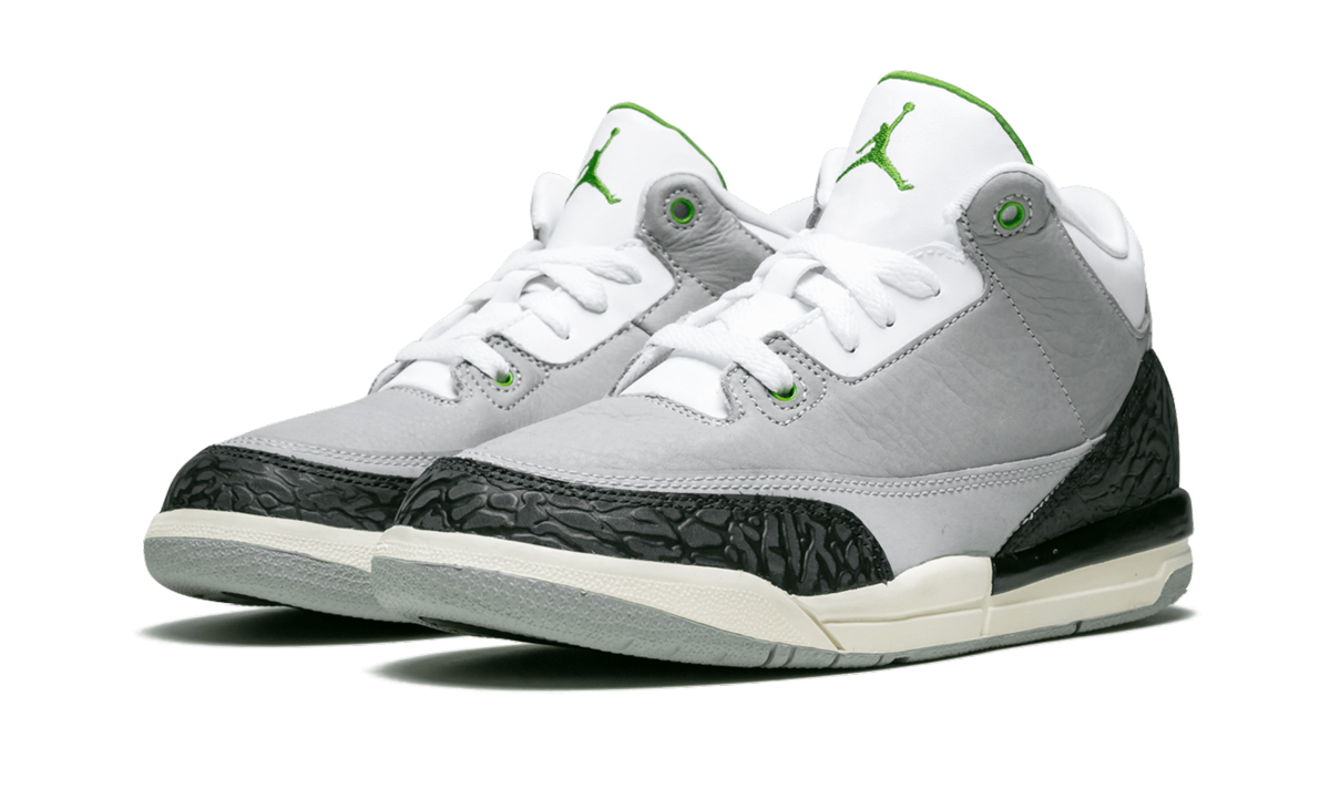 Jordan 3 Retro PS "Grey"
