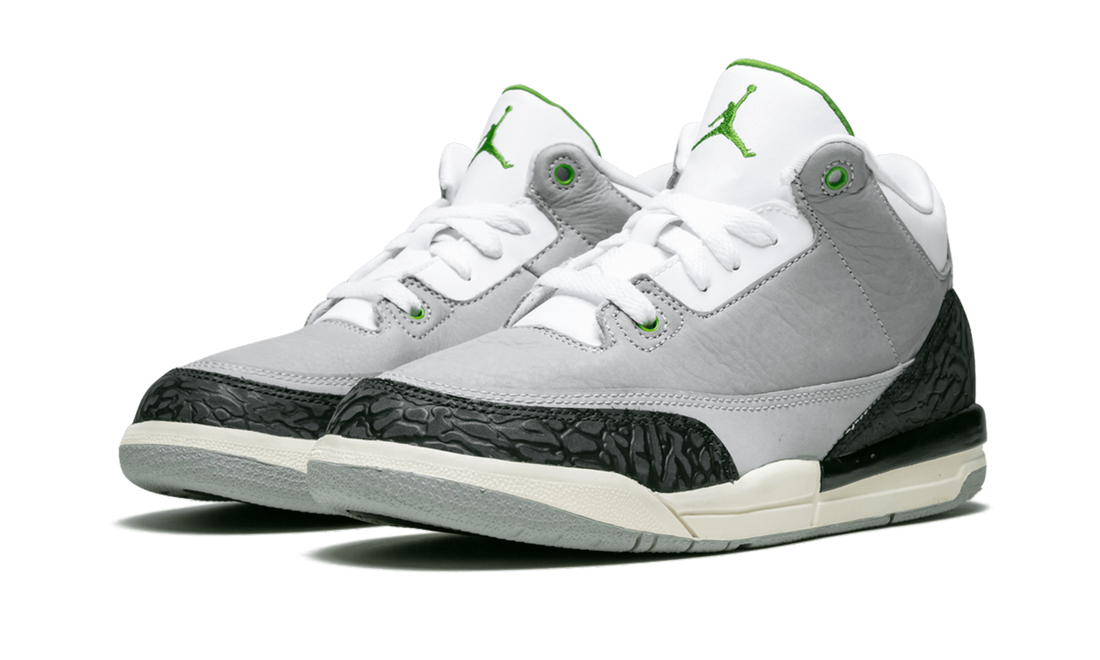 Jordan 3 Retro PS "Grey"