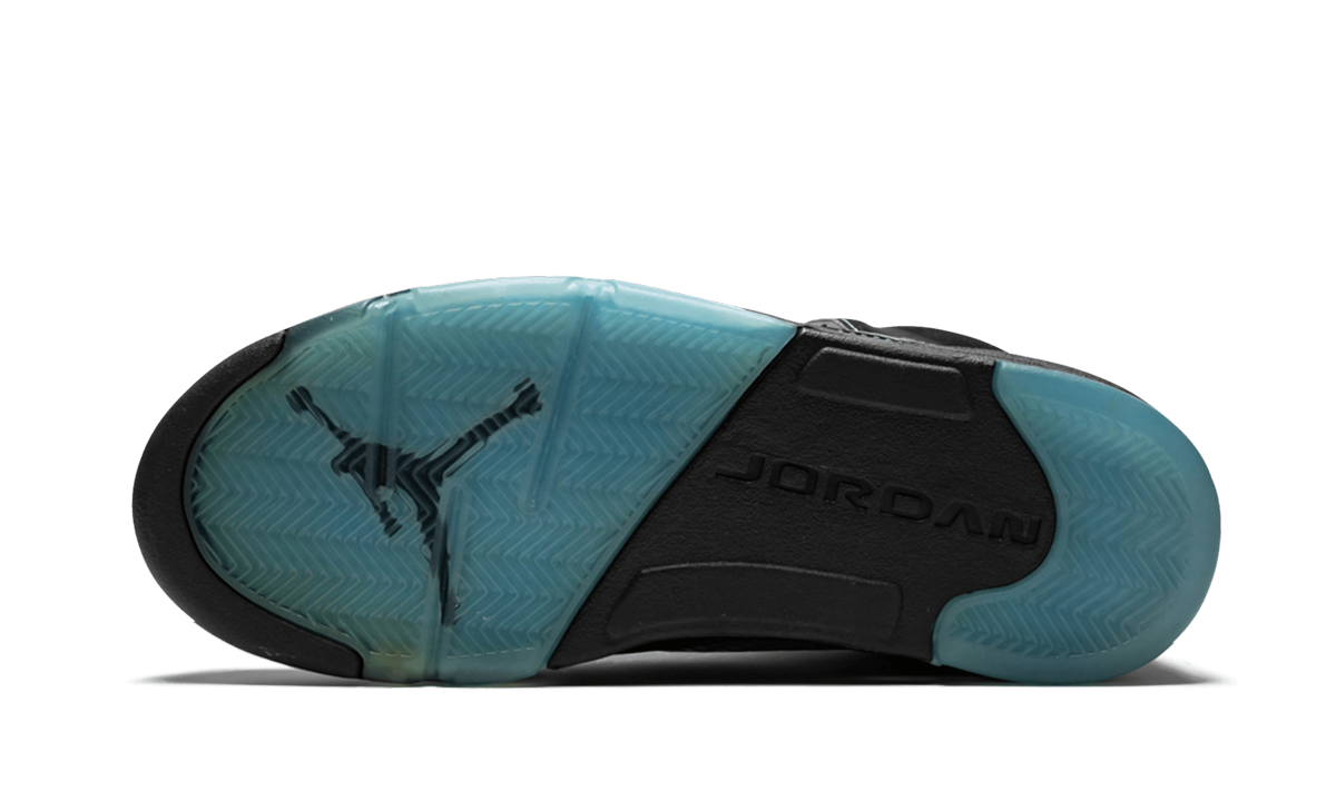 Air Jordan 5 Retro LS "UNC"