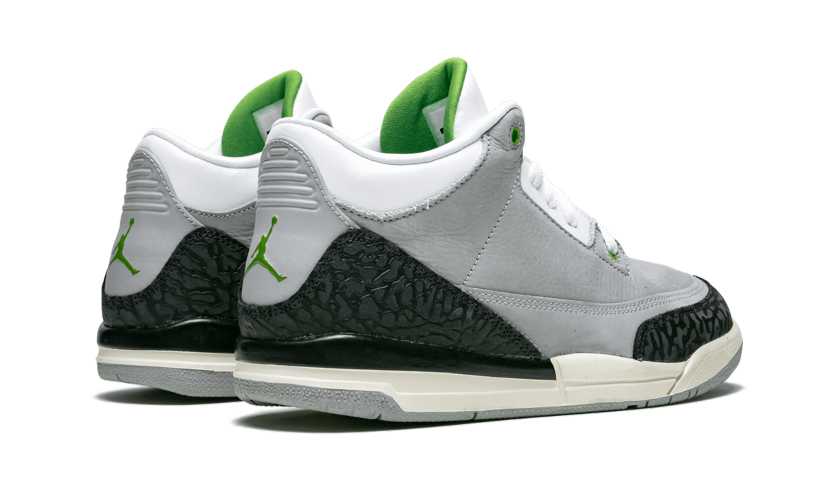 Jordan 3 Retro PS "Grey"